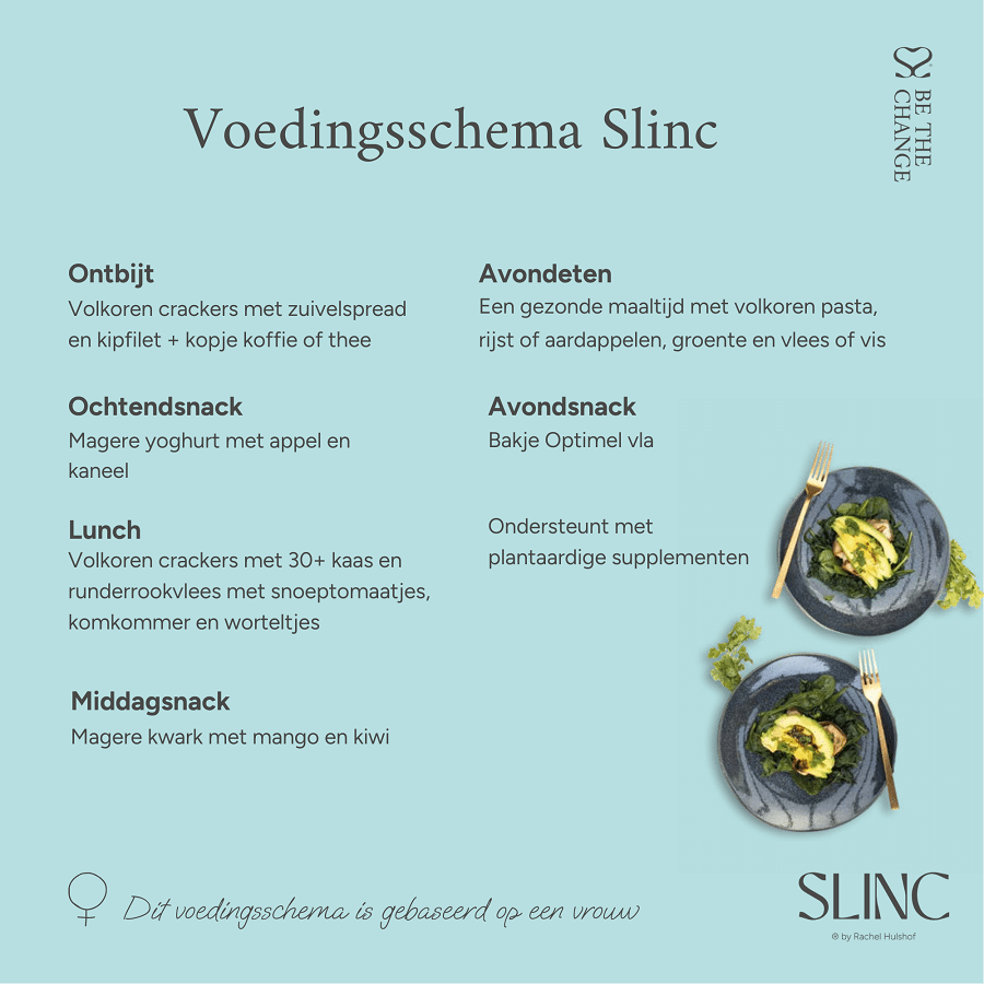 voedingsschema gezond afvallen