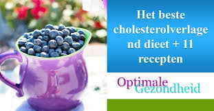 cholesterolverlagend dieet
