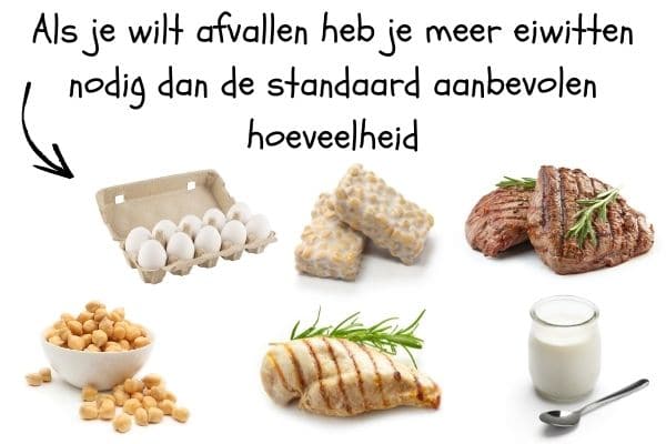voedsel met veel eiwitten